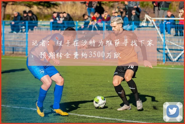 记者：纽卡在沙特为维萨寻找下家，预期转会费约3500万欧