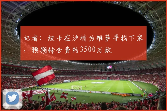 记者：纽卡在沙特为维萨寻找下家，预期转会费约3500万欧